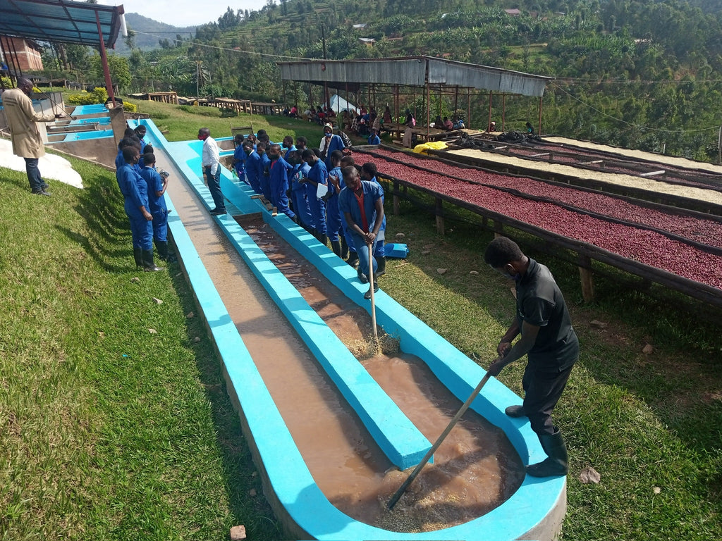 kaffetrends du skal holde øje med