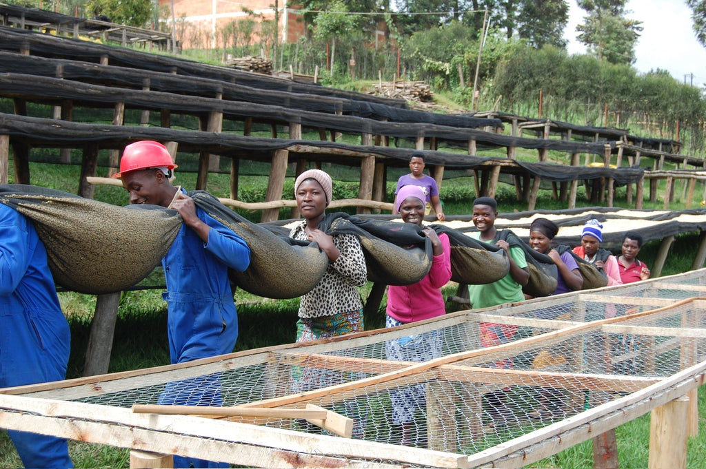 Den ultimative guide til at brygge den perfekte kop derhjemme